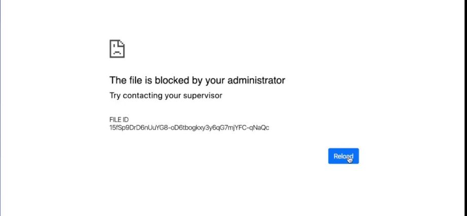 Blocking Google Drive: How to save your data to your computer