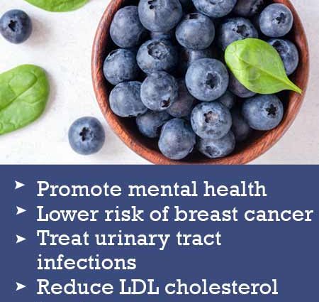 Blueberries: health benefits and harms