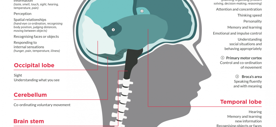 brain tumor in adults