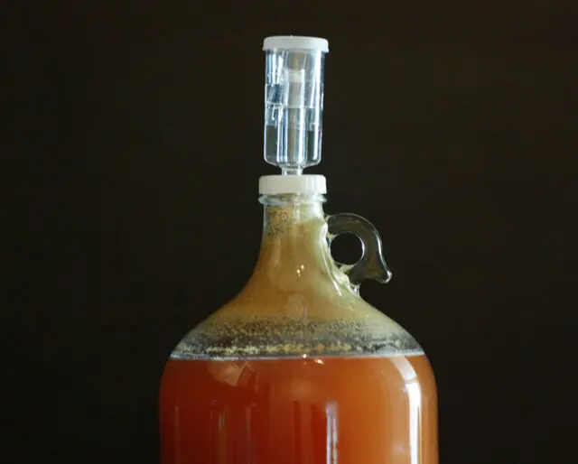 Brewer&#8217;s Day 2023 in Our Country: the history and traditions of the holiday