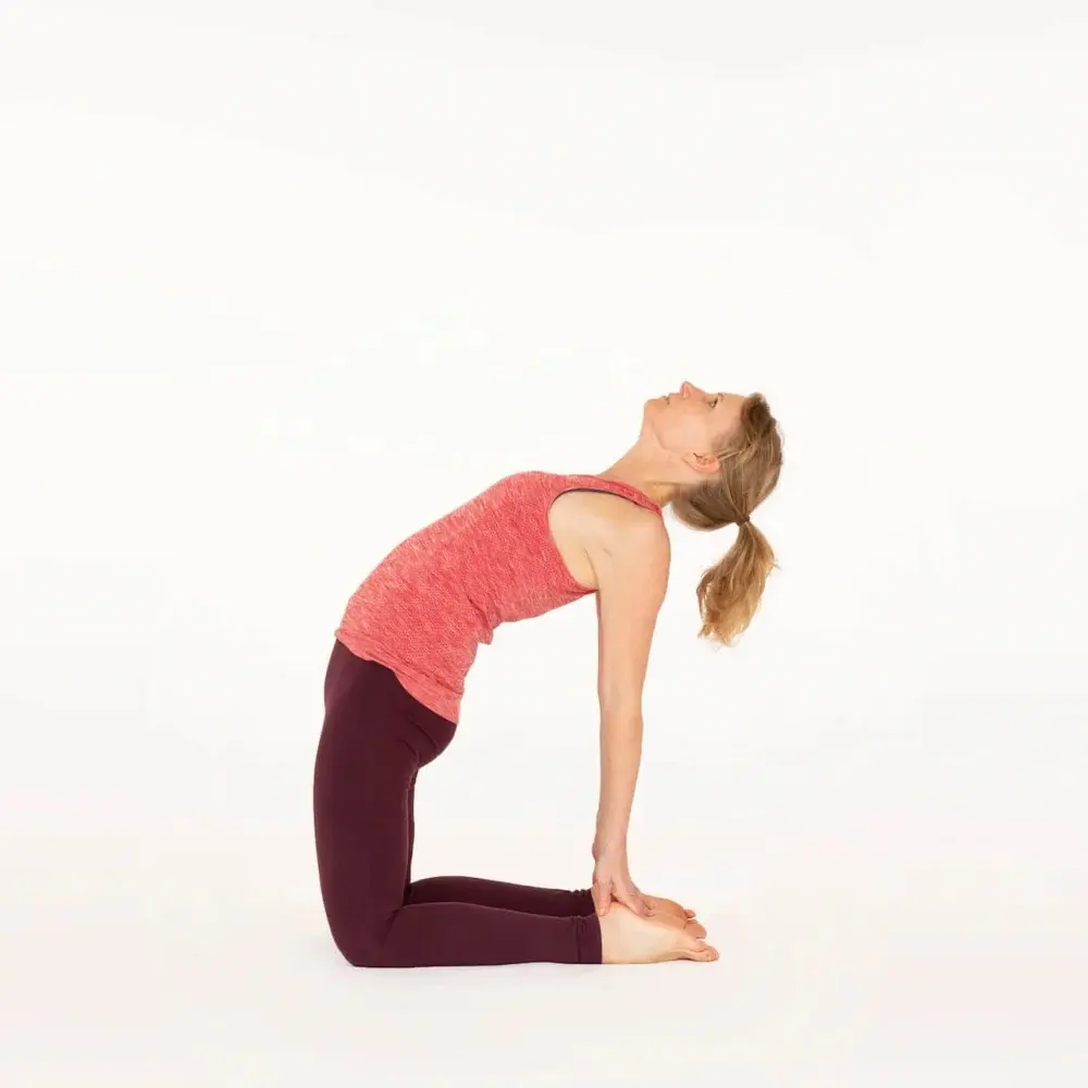 Camel pose in yoga