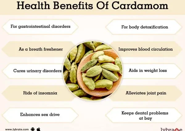 Cardamom: health benefits and harms