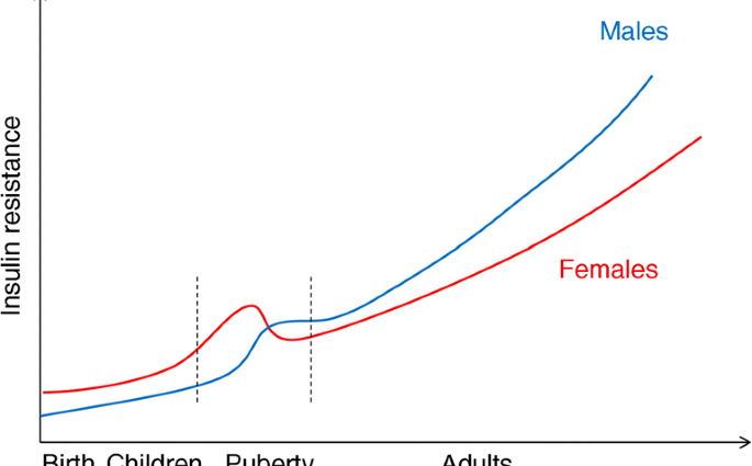 Causes of type 2 diabetes in men and women