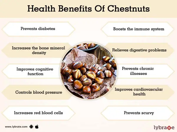 Chestnuts: benefits and harms to the body