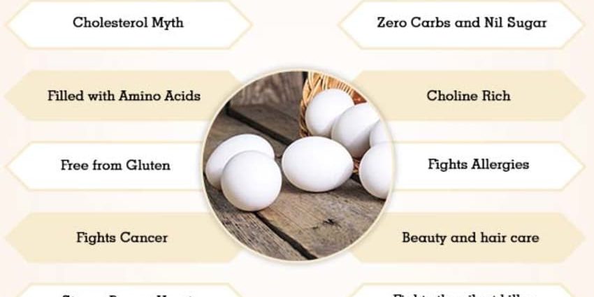 Chicken eggs: benefits and harms to the body