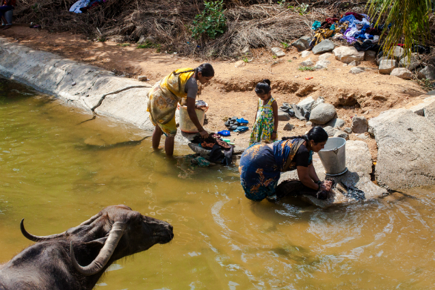 cholera in adults