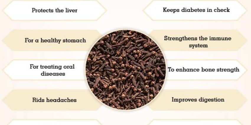 Cloves: health benefits and harms