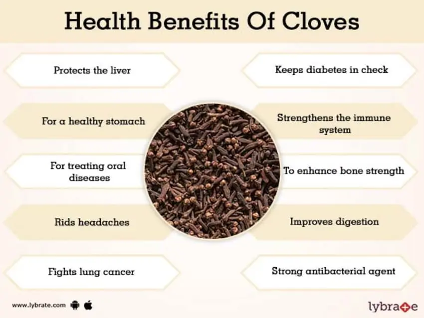 Cloves: health benefits and harms