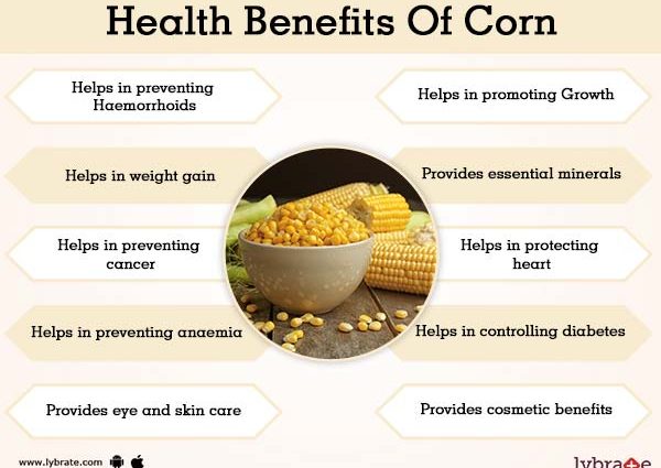 Corn: health benefits and harms