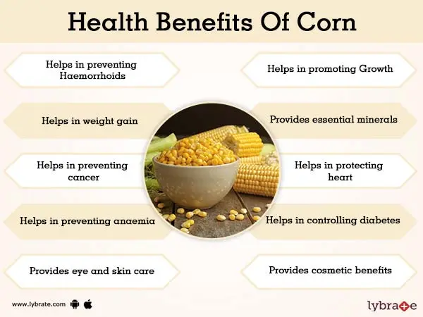 Corn: health benefits and harms