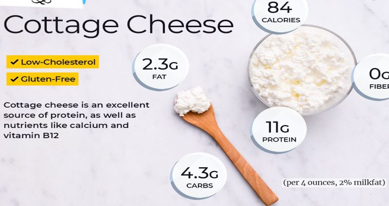 Cottage Cheese: Benefits And Harms To The Body – Healthy Food Near Me