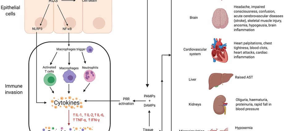 Cytokine storm in coronavirus