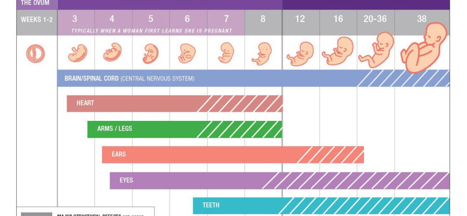 Dangerous weeks of pregnancy in all trimesters