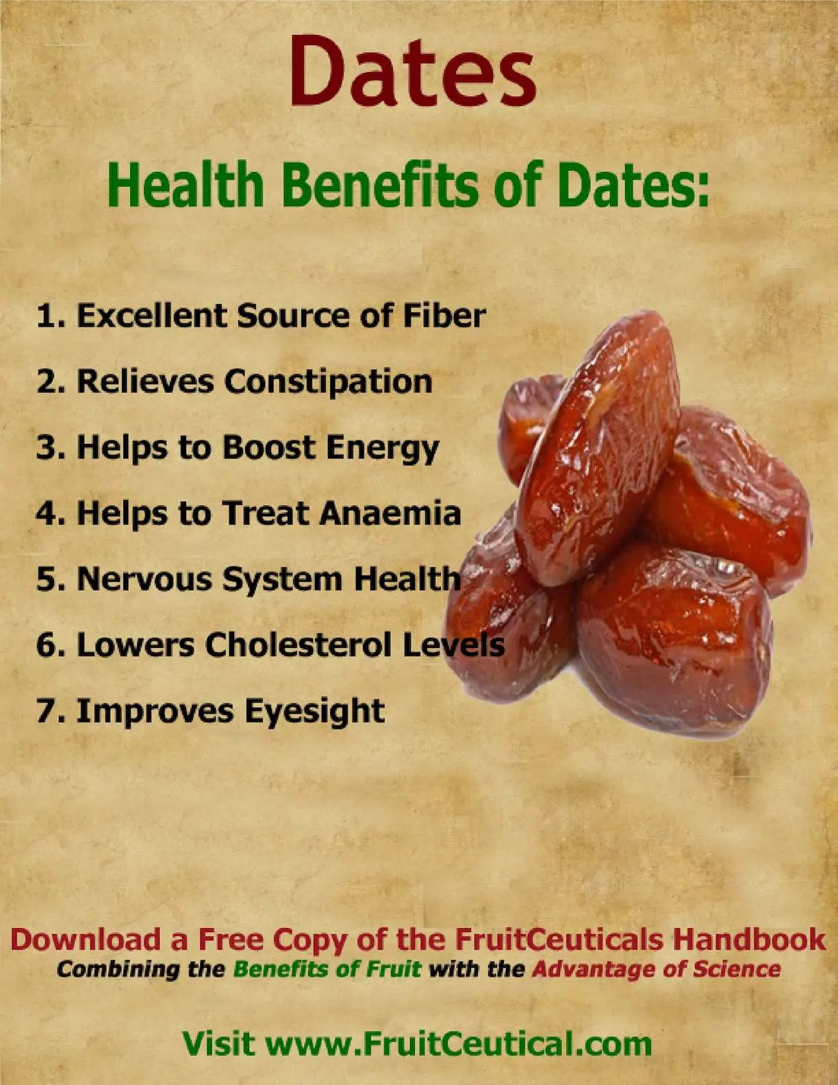 Dates: benefits and harms to the body