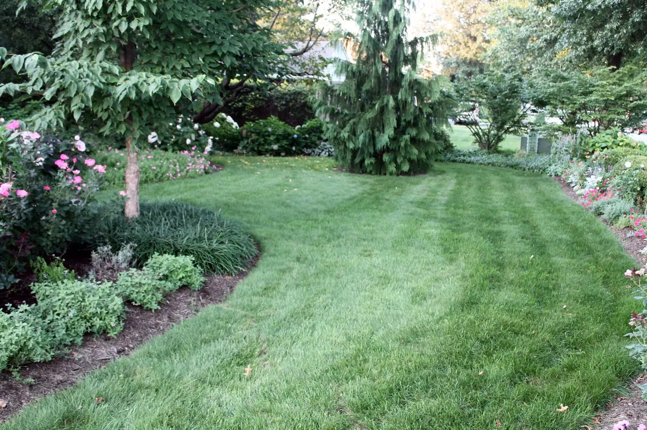 Do-it-yourself lawn in the country