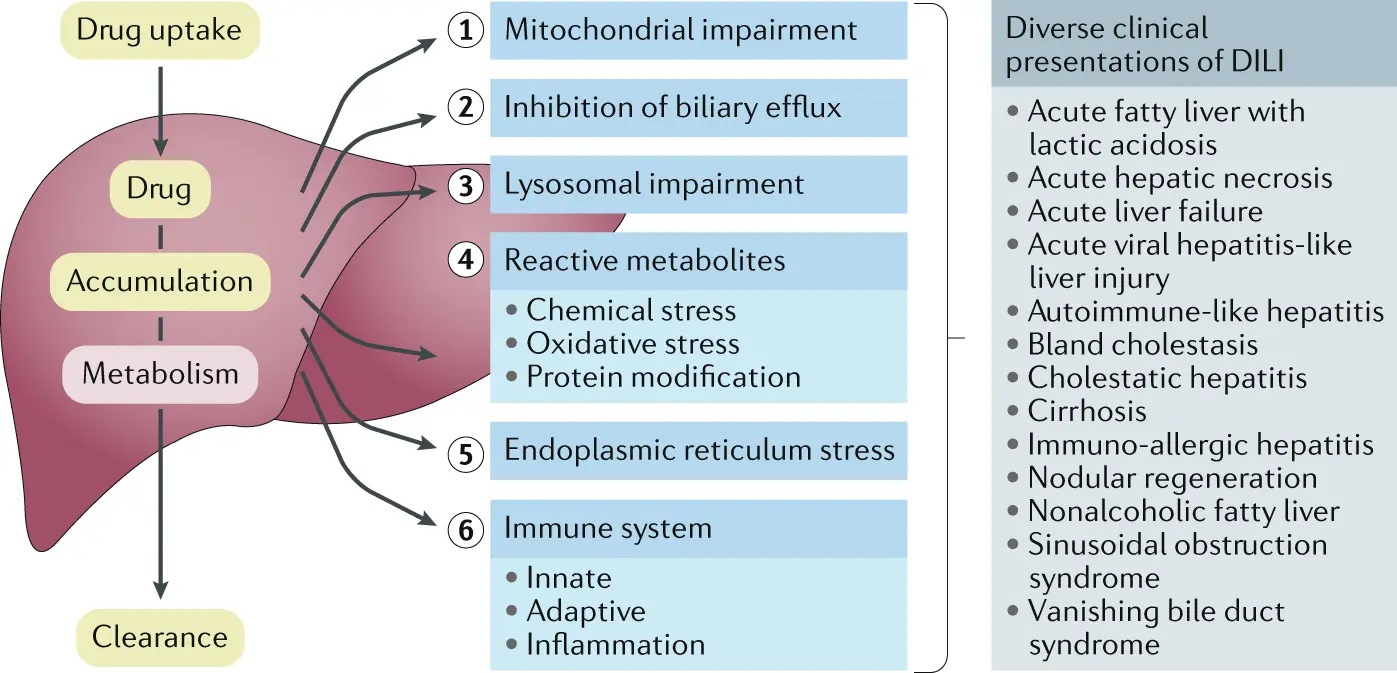 drug-induced hepatitis