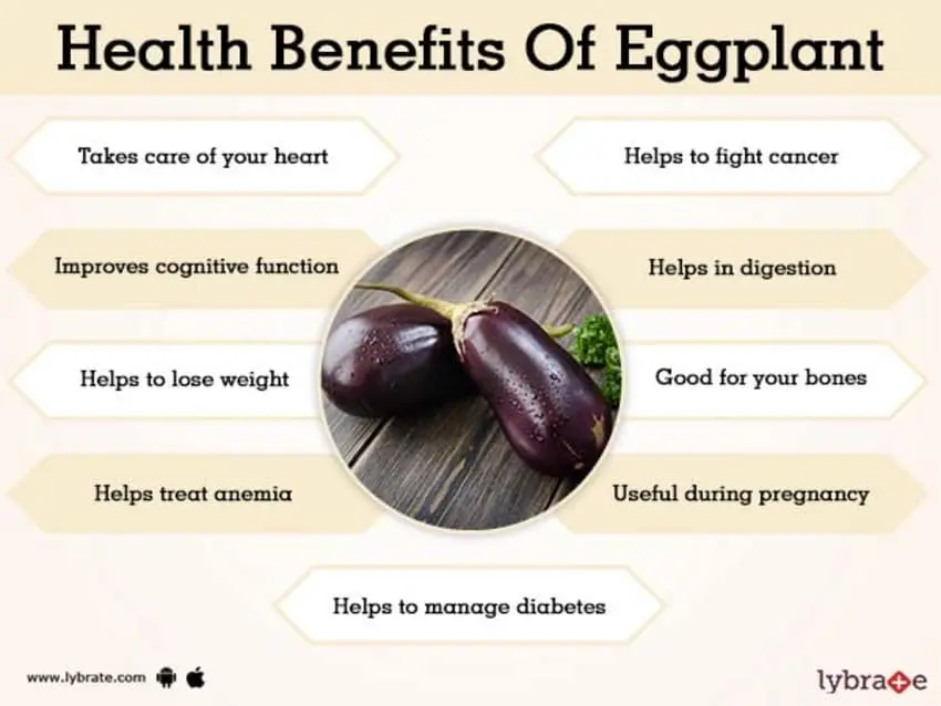 Eggplant: health benefits and harms