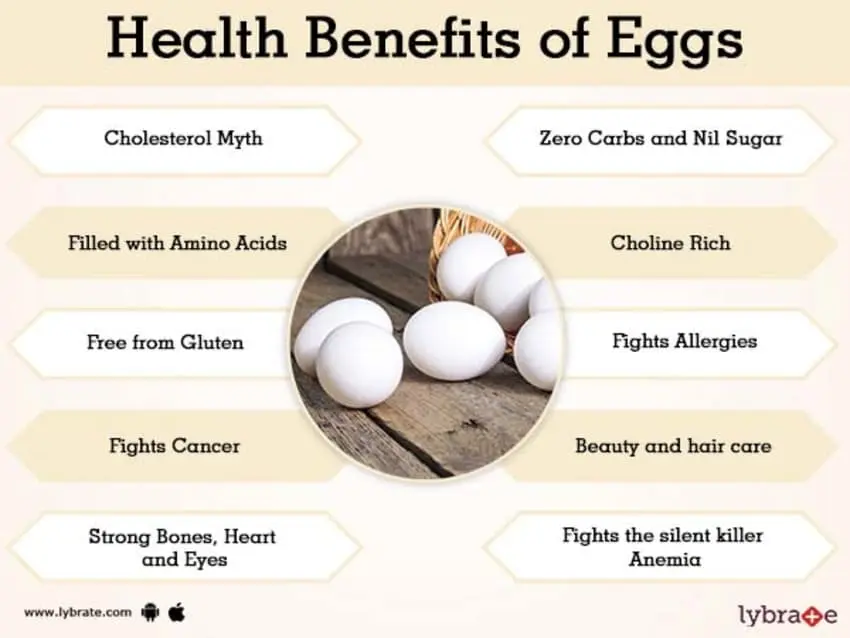 Eggs: benefits and harms to the body