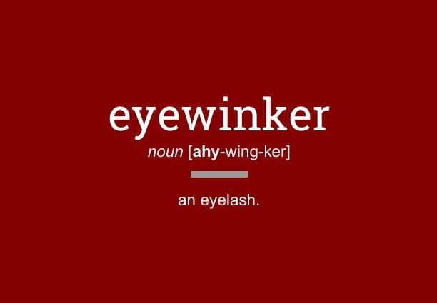 Eyewinker