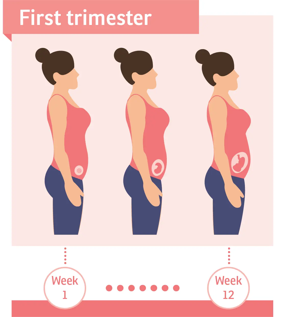 First month of pregnancy