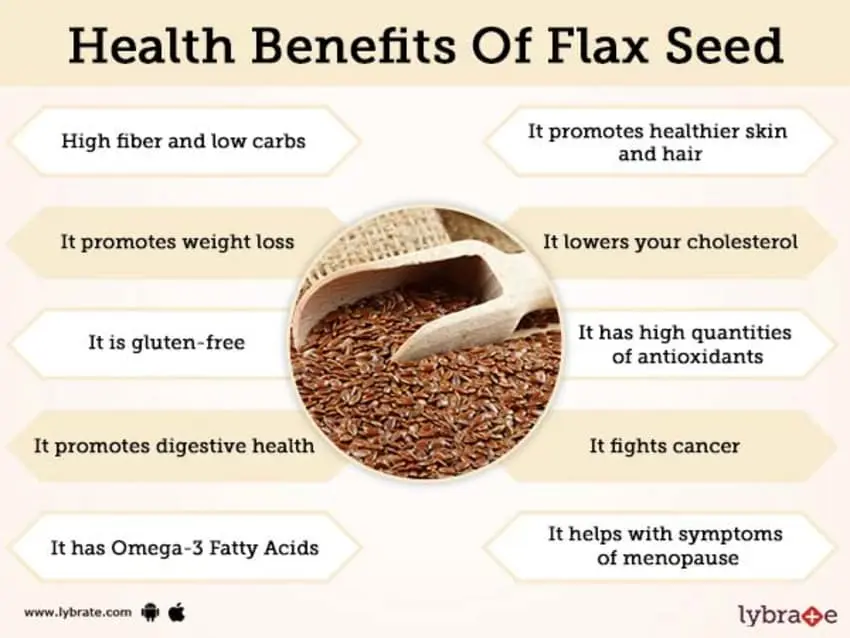 Flax seeds: benefits and harms to the body