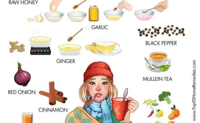 Folk remedies for the common cold