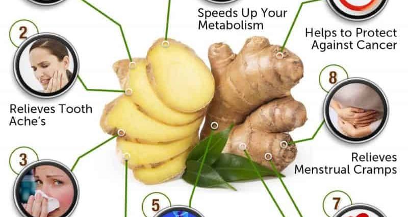 Ginger: benefits and harms to the body