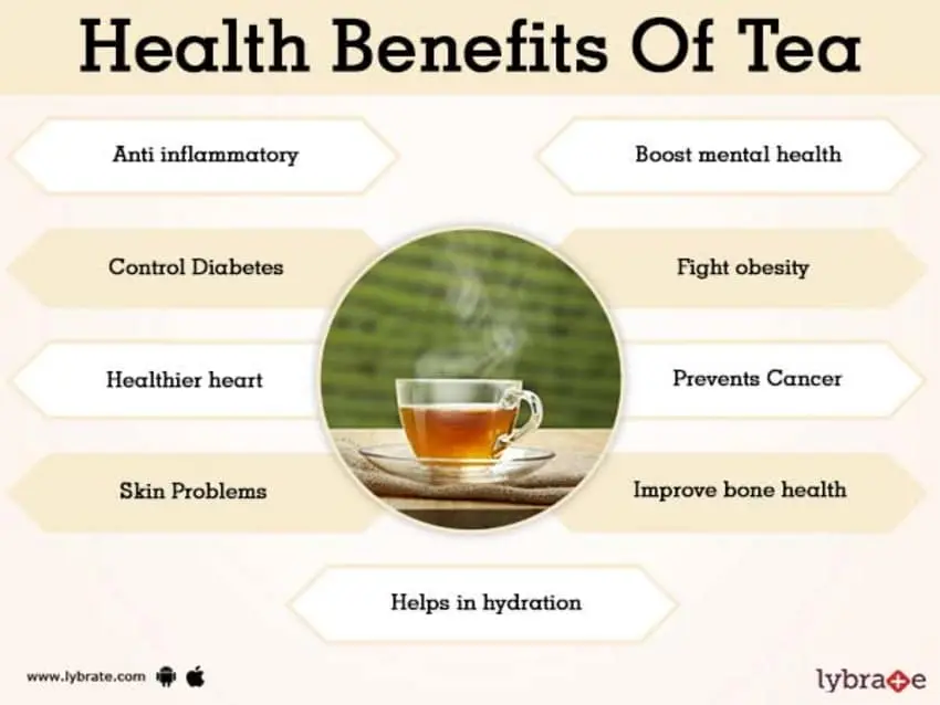 Green tea: benefits and harms to the body