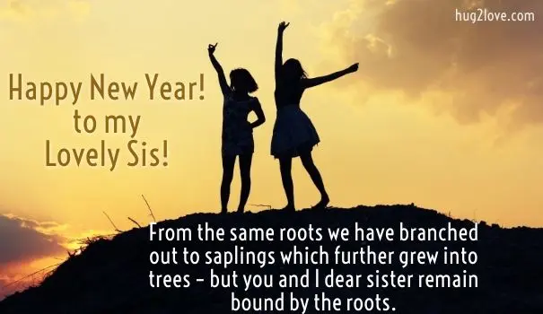 Happy New Year 2023 to sister