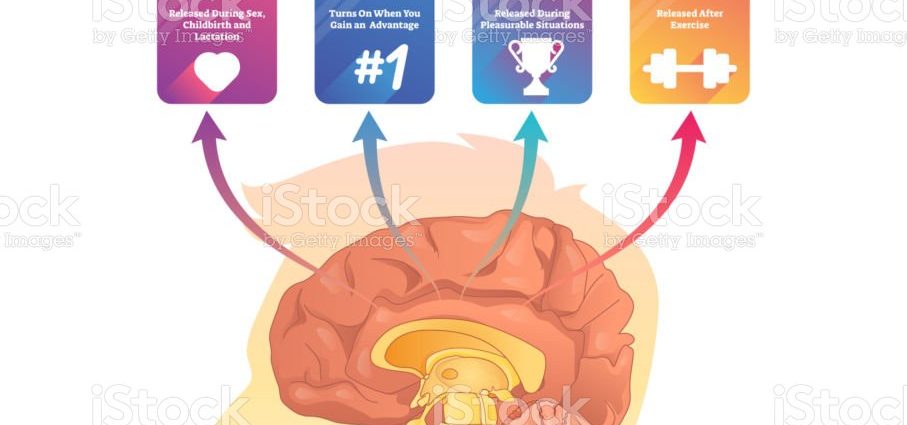 Hormone endorphin