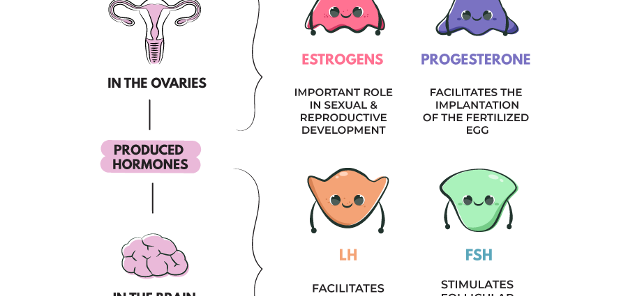 Hormones in women