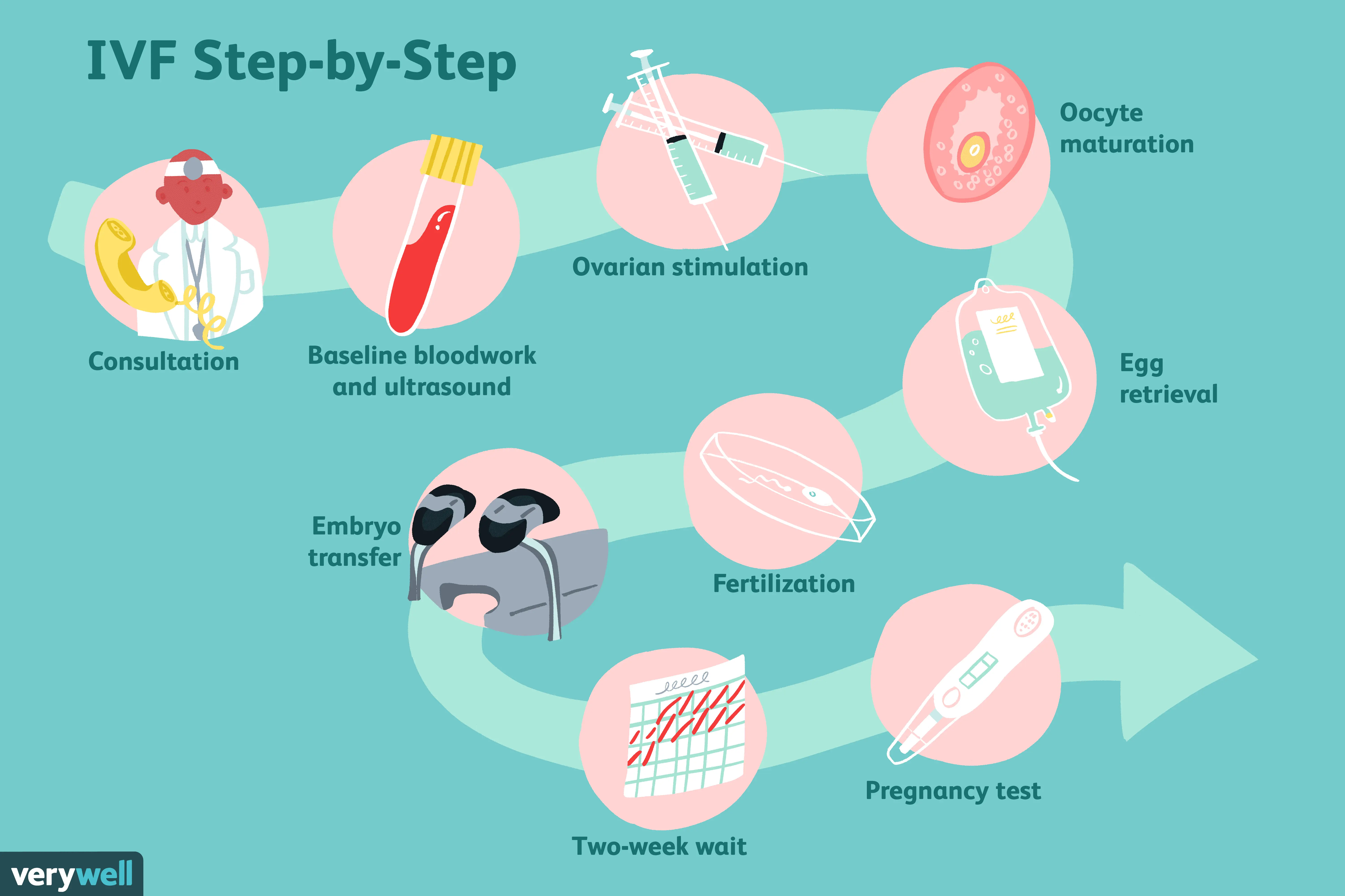 How is IVF done step by step