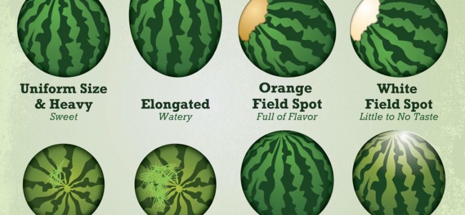 Kako odabrati zrelu i slatku lubenicu
