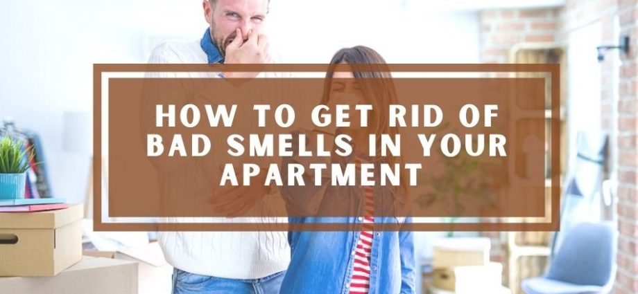 How to remove the smell in the apartment