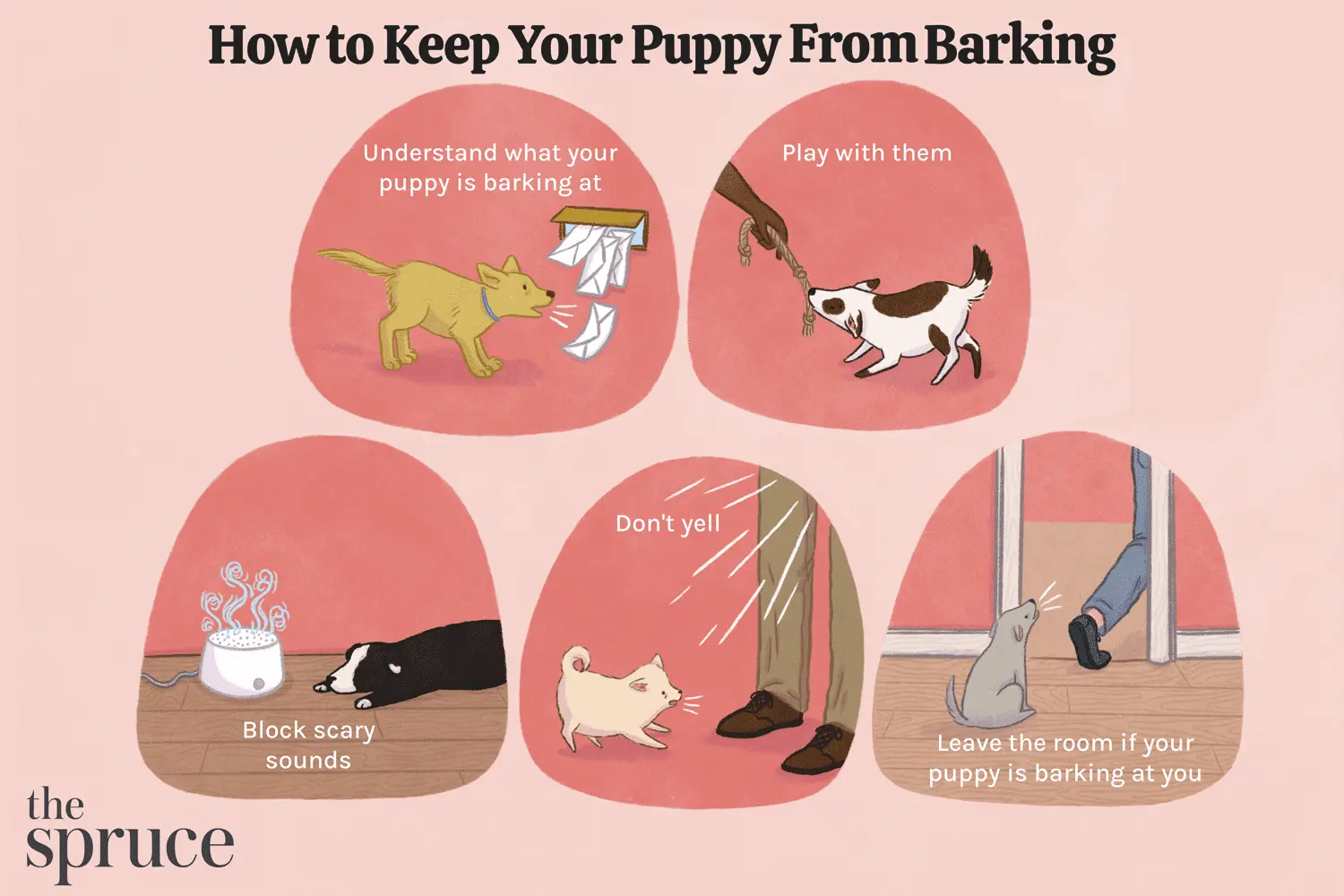 How to stop a dog from barking