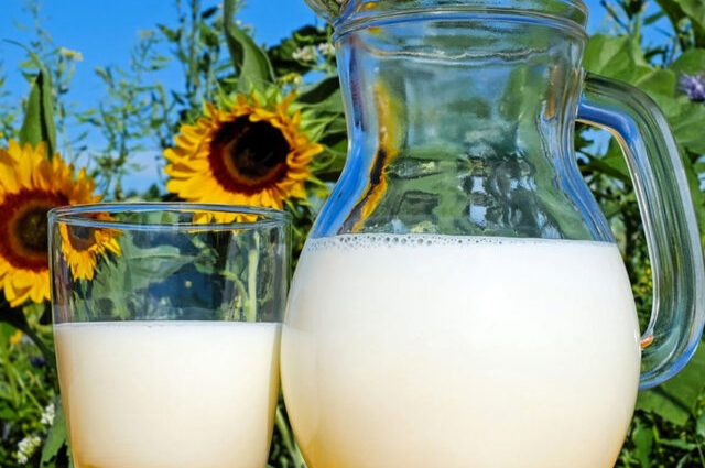 International Milk Day 2023: the history and traditions of the holiday