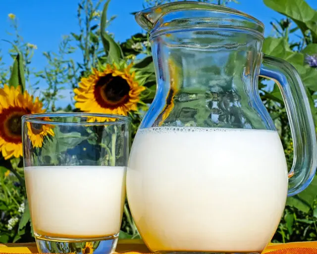 International Milk Day 2023: the history and traditions of the holiday