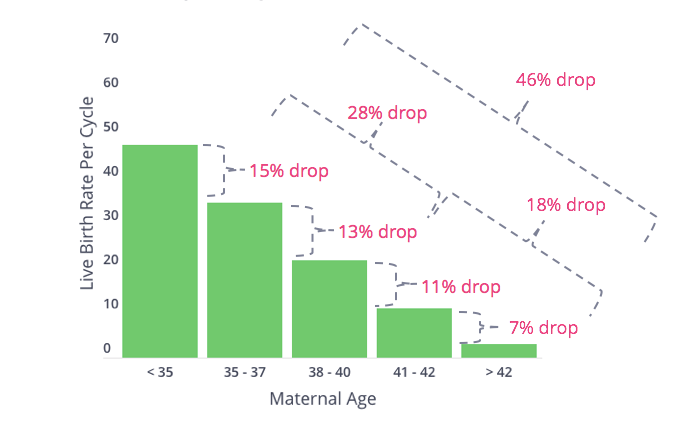 IVF results