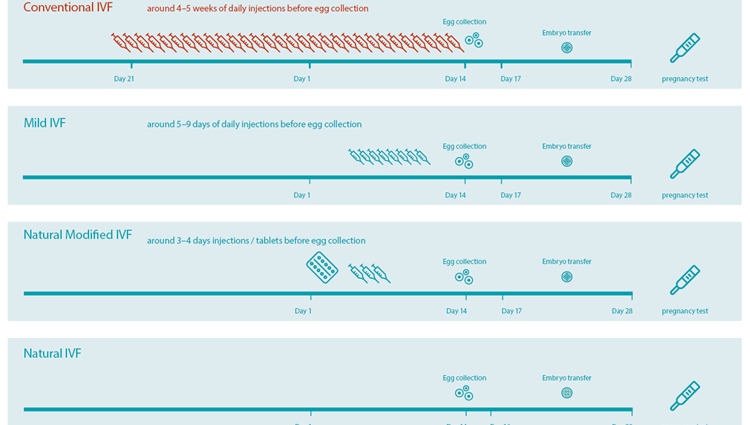 IVF short protocol by day