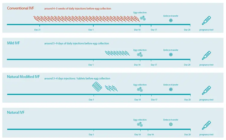 IVF short protocol by day