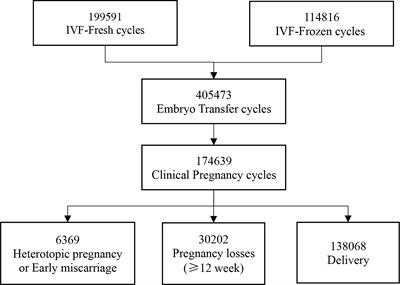 IVF under CHI in 2022