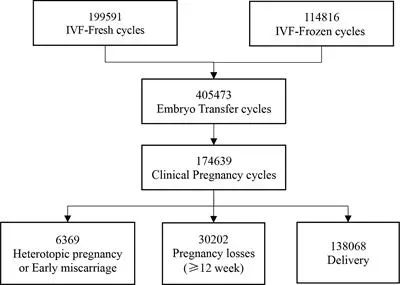 IVF under CHI in 2022