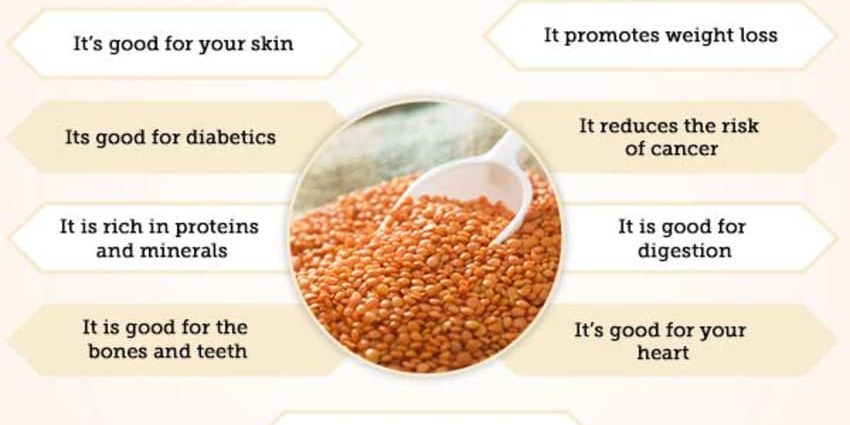 Lentils: health benefits and harms