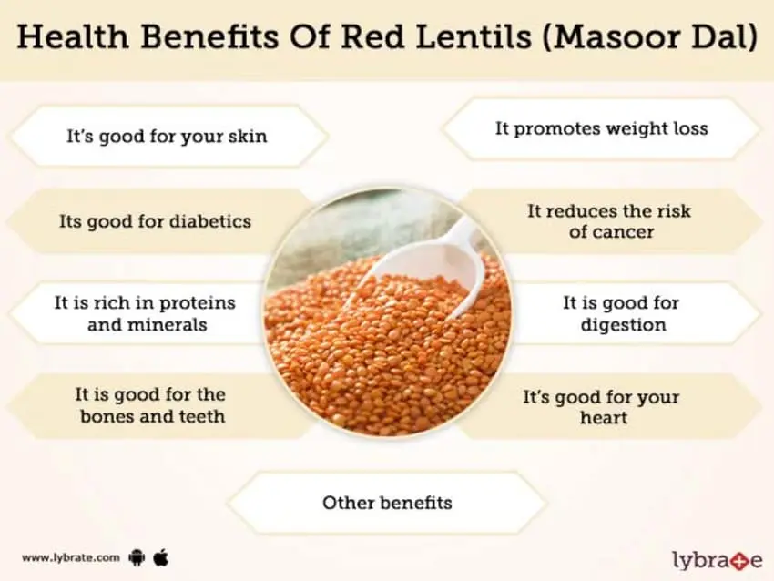 Lentils: health benefits and harms