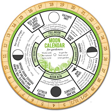 Lunar sowing calendar for gardeners and gardeners for December 2022