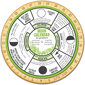 Lunar sowing calendar for gardeners and gardeners for December 2022