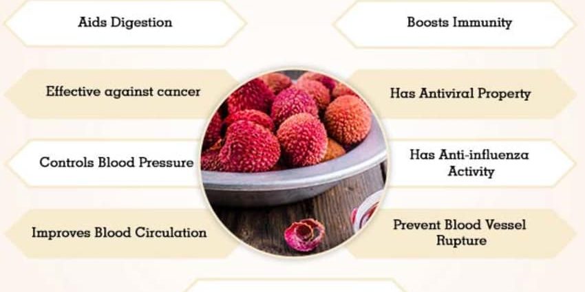 Lychee: benefits and harms to the body