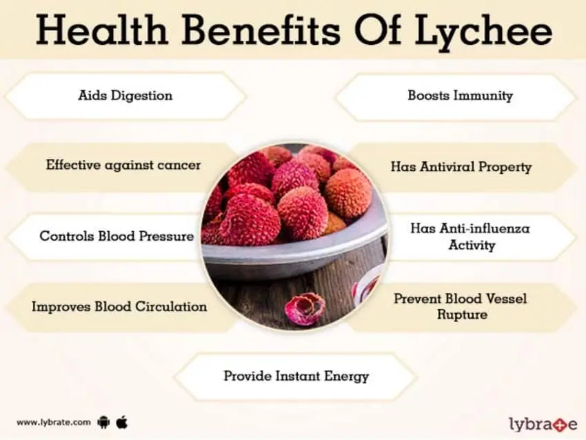 Lychee: benefits and harms to the body