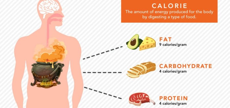 macronutrients in the human body