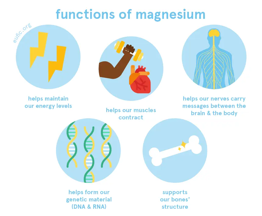 Magnesium in the human body